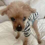 ヒメ日記 2025/07/07 08:00 投稿 みゆ シークレットタッチ