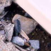 ヒメ日記 2025/07/21 08:15 投稿 みゆ シークレットタッチ