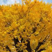 みゆ 𝑭𝒓𝒊𝒅𝒂𝒚♡.‎˖٭* シークレットタッチ