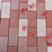 ヒメ日記 2025/12/22 06:30 投稿 みゆ シークレットタッチ