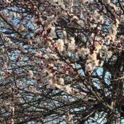 みゆ 𝑴𝒐𝒏𝒅𝒂𝒚♡.‎˖٭* シークレットタッチ