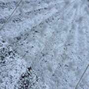 ヒメ日記 2026/03/11 06:00 投稿 みゆ シークレットタッチ