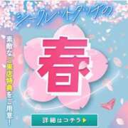 ヒメ日記 2026/03/31 20:22 投稿 みゆ シークレットタッチ