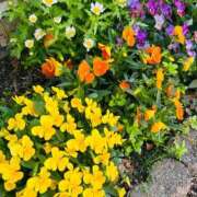 ヒメ日記 2026/04/28 22:16 投稿 みゆ シークレットタッチ