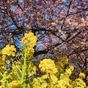 ヒメ日記 2025/04/05 23:59 投稿 ゆりえ 完熟ばなな 横浜