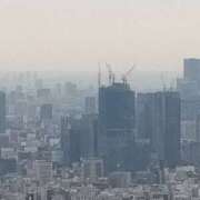 ヒメ日記 2025/02/20 15:44 投稿 ゆりえ 完熟ばなな川崎