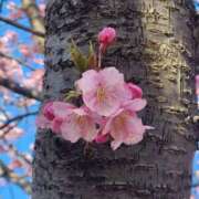 ヒメ日記 2025/03/22 22:54 投稿 ゆりえ 完熟ばなな川崎