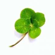 ヒメ日記 2026/04/05 08:29 投稿 ヨツバ ソープランドMAX‐マックス-