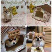 ヒメ日記 2025/11/16 23:22 投稿 佐伯美香 五十路マダム金沢店