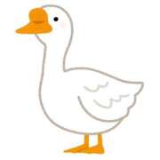 ヒメ日記 2025/03/22 11:08 投稿 はちみつ チェリーデイズ新宿店