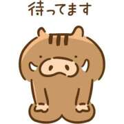 ヒメ日記 2025/03/20 12:29 投稿 みらい スピードエコ日本橋店