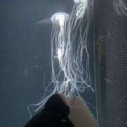 みらい みらい（エコ日本橋店） スピードエコ日本橋店