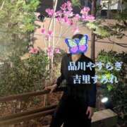 ヒメ日記 2024/12/29 15:35 投稿 吉里 品川やすらぎ