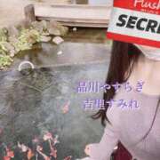 ヒメ日記 2025/01/27 15:33 投稿 吉里 品川やすらぎ