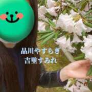 ヒメ日記 2025/03/10 07:48 投稿 吉里 品川やすらぎ