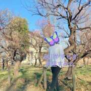 ヒメ日記 2025/04/24 16:03 投稿 吉里 品川やすらぎ