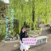 ヒメ日記 2025/05/30 14:33 投稿 吉里 品川やすらぎ