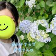 ヒメ日記 2025/06/23 14:07 投稿 吉里 品川やすらぎ