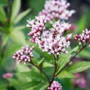 ヒメ日記 2025/06/06 13:37 投稿 今村 熟女の部屋