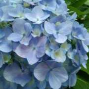 ヒメ日記 2025/06/07 16:17 投稿 今村 熟女の部屋