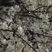 今村 今日は涼しく感じた…な 熟女の部屋