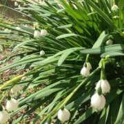 ヒメ日記 2026/04/09 02:45 投稿 今村 熟女の部屋