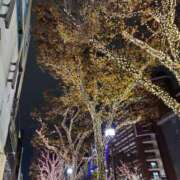 ヒメ日記 2024/12/14 21:06 投稿 ゆるり DIVAセカンドシーズン