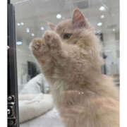 ヒメ日記 2025/07/03 16:44 投稿 そらり プロフィール奈良店