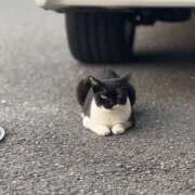 ヒメ日記 2025/08/26 13:55 投稿 そらり プロフィール奈良店