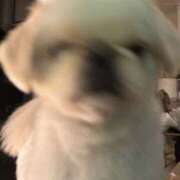 ヒメ日記 2025/10/14 13:02 投稿 そらり プロフィール奈良店