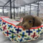 ヒメ日記 2025/10/20 12:25 投稿 そらり プロフィール奈良店