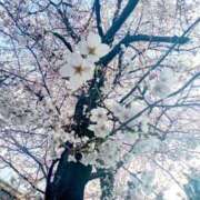 ヒメ日記 2025/04/02 23:50 投稿 みづき 逆電車ごっこ ～GLAMOROUS TRAIN～