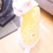 ヒメ日記 2025/04/03 23:20 投稿 みづき 逆電車ごっこ ～GLAMOROUS TRAIN～