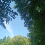 ヒメ日記 2025/05/28 17:40 投稿 みづき 逆電車ごっこ ～GLAMOROUS TRAIN～