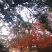 ヒメ日記 2025/11/28 16:55 投稿 みづき 逆電車ごっこ ～GLAMOROUS TRAIN～