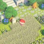 ヒメ日記 2026/02/08 16:20 投稿 みづき 逆電車ごっこ ～GLAMOROUS TRAIN～