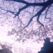 ヒメ日記 2026/03/28 17:19 投稿 みづき 逆電車ごっこ ～GLAMOROUS TRAIN～