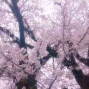 ヒメ日記 2026/03/31 18:10 投稿 みづき 逆電車ごっこ ～GLAMOROUS TRAIN～