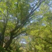 ヒメ日記 2026/05/12 22:31 投稿 みづき 逆電車ごっこ ～GLAMOROUS TRAIN～