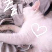 ヒメ日記 2026/06/19 23:45 投稿 みづき 逆電車ごっこ ～GLAMOROUS TRAIN～