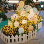 ヒメ日記 2025/07/30 14:16 投稿 ＊ほたる＊ Cheers(チアーズ)