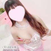 ヒメ日記 2025/11/07 15:09 投稿 あすか ウルトラドリーム