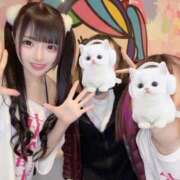 ヒメ日記 2025/04/30 09:17 投稿 める 水色りぼん