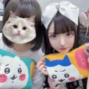 ヒメ日記 2025/05/02 08:53 投稿 める 水色りぼん