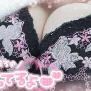 ヒメ日記 2024/12/13 16:13 投稿 ほのか ぷるるん小町 京橋店