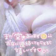 ヒメ日記 2025/03/23 09:36 投稿 ほのか ぷるるん小町 京橋店