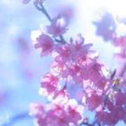 ヒメ日記 2025/03/11 08:03 投稿 白野えいな 錦糸町快楽M性感倶楽部～前立腺マッサージ専門～