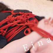 ヒメ日記 2026/02/18 10:13 投稿 白野えいな 錦糸町快楽M性感倶楽部～前立腺マッサージ専門～