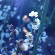 ヒメ日記 2026/02/20 12:31 投稿 白野えいな 錦糸町快楽M性感倶楽部～前立腺マッサージ専門～