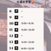 白野えいな 🍑6/8～6/14の予定🍑 錦糸町快楽M性感倶楽部～前立腺マッサージ専門～